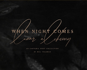 When Night Comes英文字体下载
