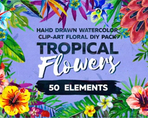 欧式森系水彩手绘花朵花卉植物花园绿叶PNG免抠PS平面设计素材