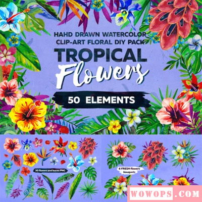 欧式森系水彩手绘花朵花卉植物花园绿叶PNG免抠PS平面设计素材1