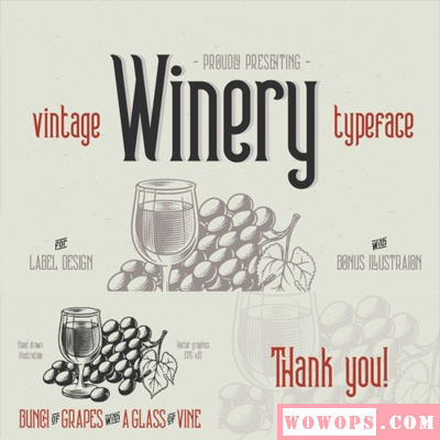 Winery手写时尚杂志海报LOGO平面设计包装店铺装修设计英文字体1