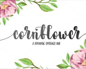 Cornflower唯美花式水彩连笔手写贺卡请帖包装签名设计英文字体