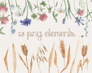 森系手绘水彩花朵四叶草麦子平面包装背景图片PNG免抠设计素材