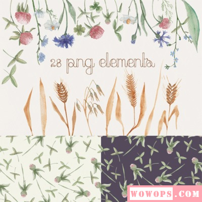 森系手绘水彩花朵四叶草麦子平面包装背景图片PNG免抠设计素材1
