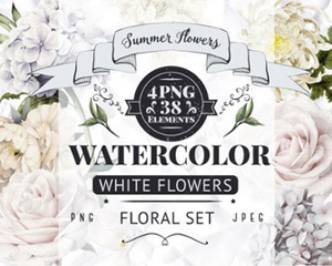 白色水彩手绘鲜花玫瑰月季叶子信封花边海报请帖设计 PNG免抠素材
