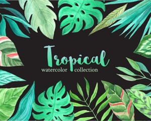 热带手绘水彩丛林植物派对请帖封面花环海报横幅PNG免抠设计素材
