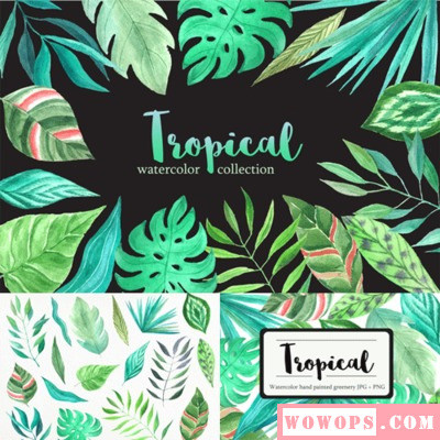 热带手绘水彩丛林植物派对请帖封面花环海报横幅PNG免抠设计素材1