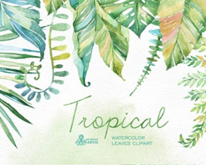 热带植物手绘水彩叶子海报花边封面设计素材模板PNG免抠PS素材