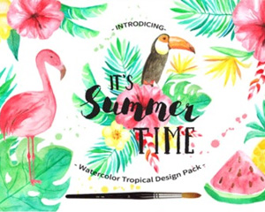 手绘水彩夏季热带植物火烈鸟水果芙蓉鸡蛋花海报封面PNG设计素材