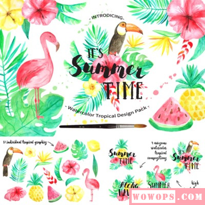 手绘水彩夏季热带植物火烈鸟水果芙蓉鸡蛋花海报封面PNG设计素材1