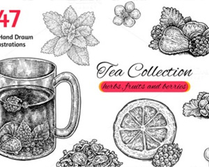 手绘线描铅笔画普洱茶草药包植物花卉茶壶花茶矢量平面设计素材
