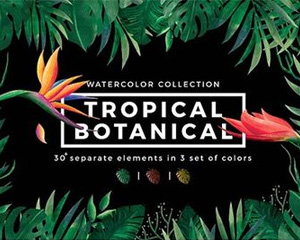 热带手绘植物水彩卡片海报包装袋设计横幅bannerPNG免抠PS素材包