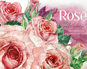 手绘水彩复古玫瑰鲜花绿叶花朵花苞叶子花瓣插画png免抠设计素材