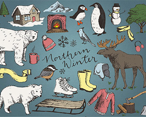手绘动物北极熊狐狸溜冰鞋鹿雀鸟壁炉火雪橇雪人插画PNG免抠素材