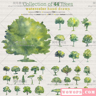 手绘水彩植物大小树园林景观环境绿化效果图PNG免抠设计素材下载1