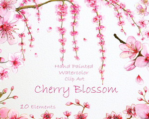 手绘唯美粉色水彩樱花花瓣树枝海报包装背景图片PNG免扣设计素材