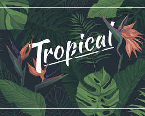 热带植物棕榈龟背竹花边包装设计背景图案AI矢量+PNG免扣设计素材