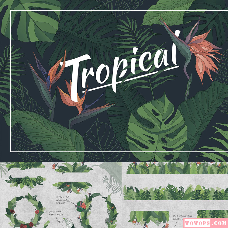 热带植物棕榈龟背竹花边包装设计背景图案AI矢量+PNG免扣设计素材1