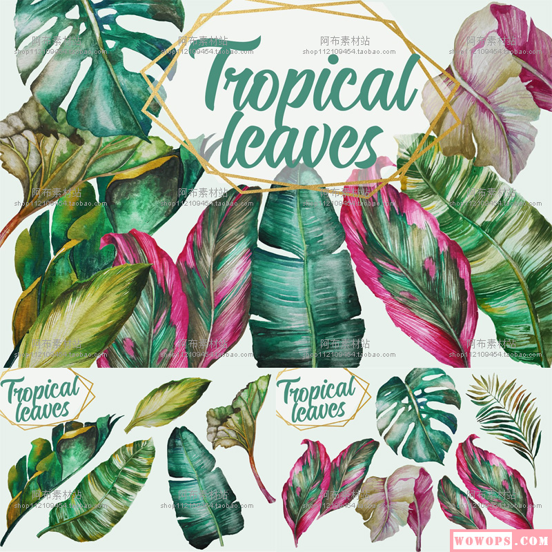 手绘水彩热带植物龟背竹绿叶树叶子叶片包装设计PNG免抠PS素材1